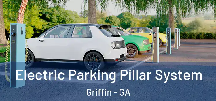 Electric Parking Pillar System Griffin - GA