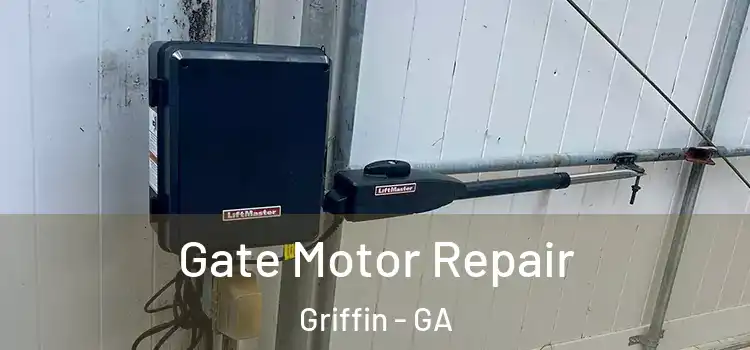 Gate Motor Repair Griffin - GA